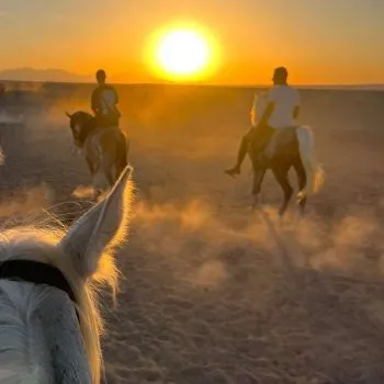 🏇 Horse Safari – Desert Ride in Hurghada